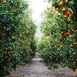 Meet your Posher, Marybeth